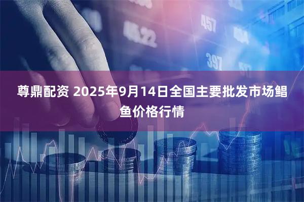 尊鼎配资 2025年9月14日全国主要批发市场鲳鱼价格行情