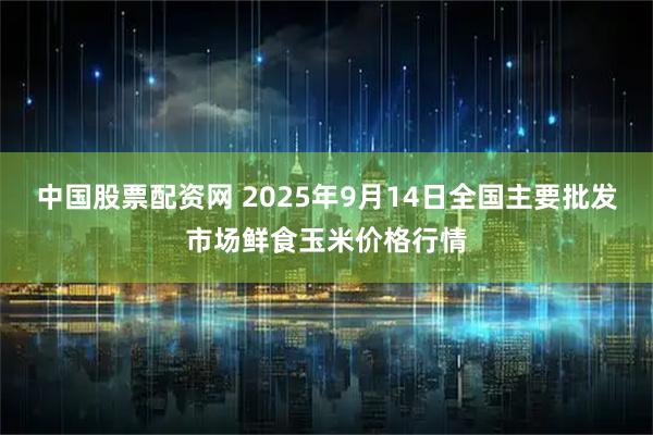 中国股票配资网 2025年9月14日全国主要批发市场鲜食玉米价格行情