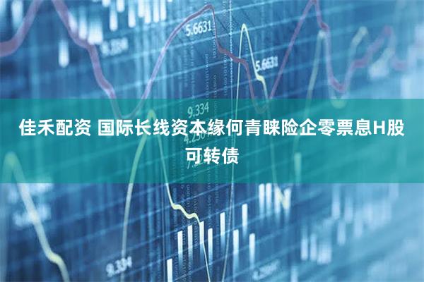佳禾配资 国际长线资本缘何青睐险企零票息H股可转债