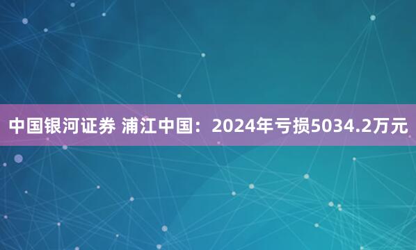 中国银河证券 浦江中国：2024年亏损5034.2万元