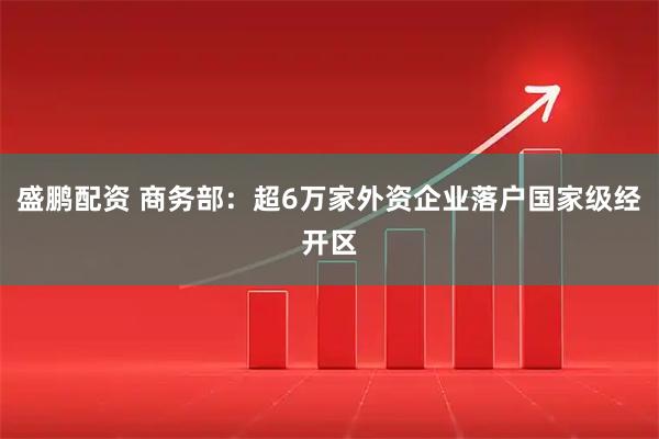 盛鹏配资 商务部：超6万家外资企业落户国家级经开区